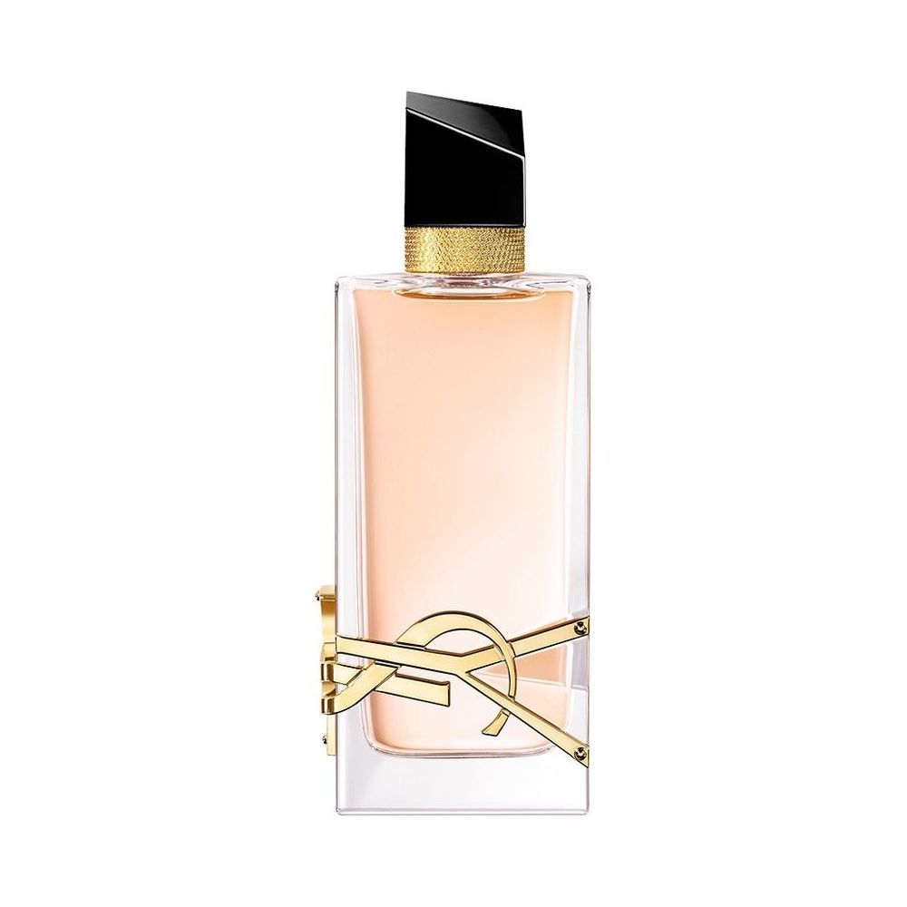 ysl muse 2 small