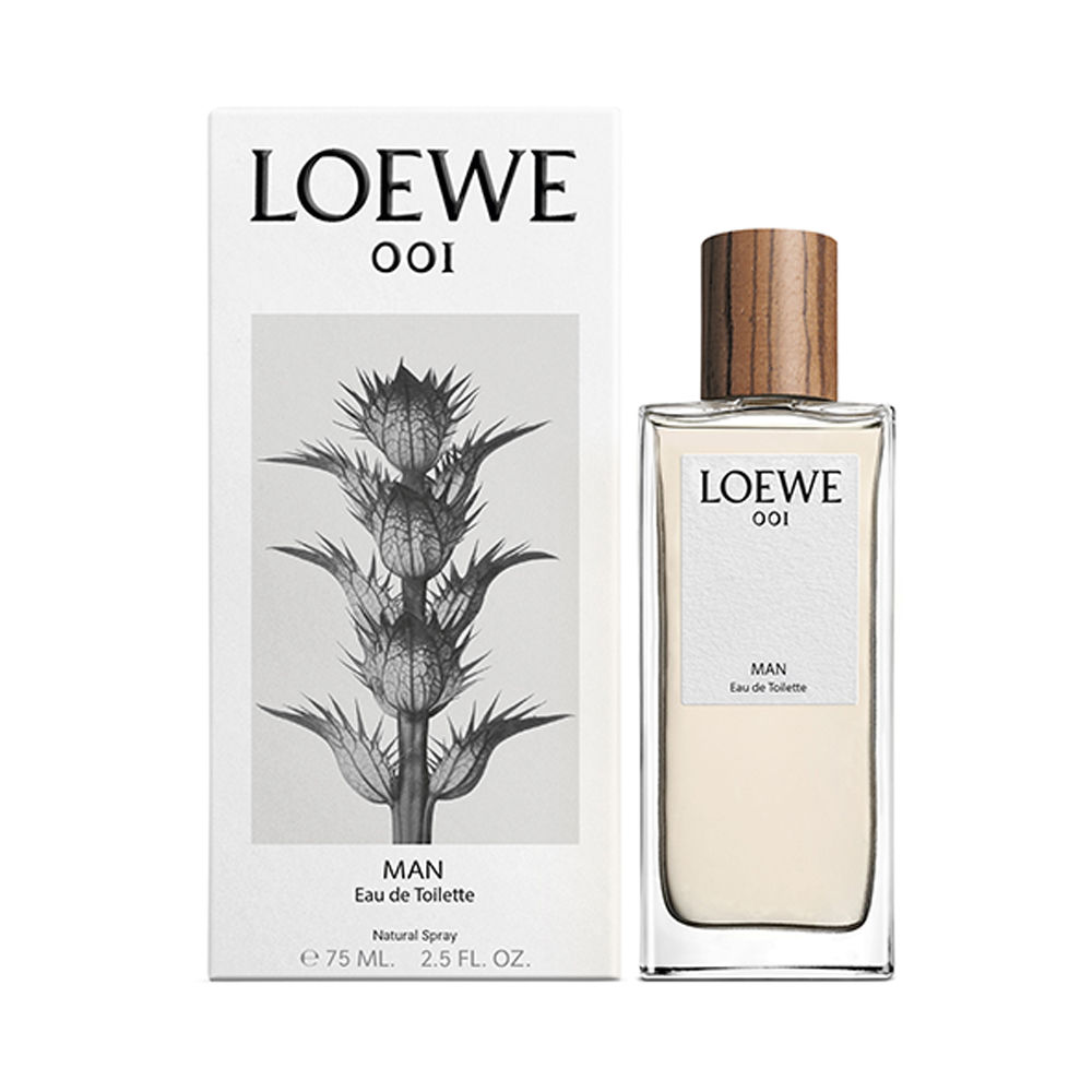 dfs loewe