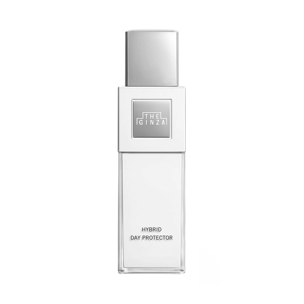 Hybrid Day Protector P